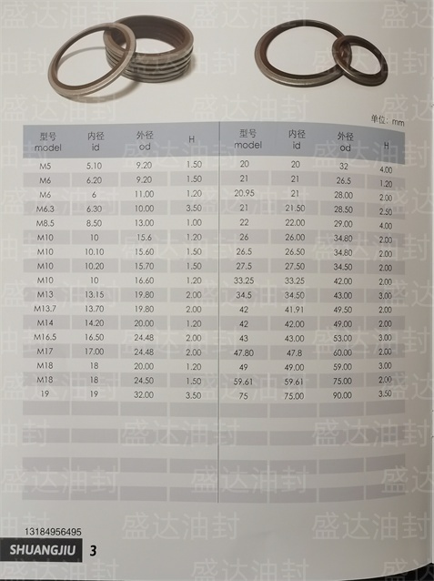 组合垫_山东油封厂家直销_台湾NAK骨架油封总代理